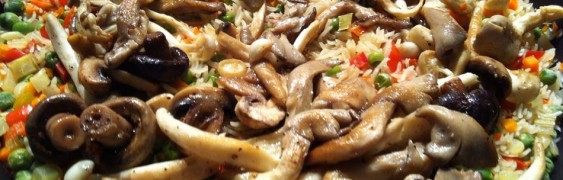 983482_10200629672055718_1118609546_n